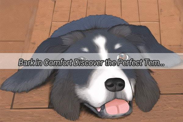 Bark in Comfort Discover the Perfect Temperature Range for Your Furry Friend